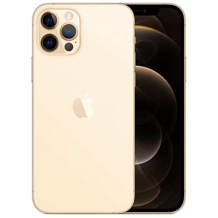 Apple 아이폰 12 Pro 자급제