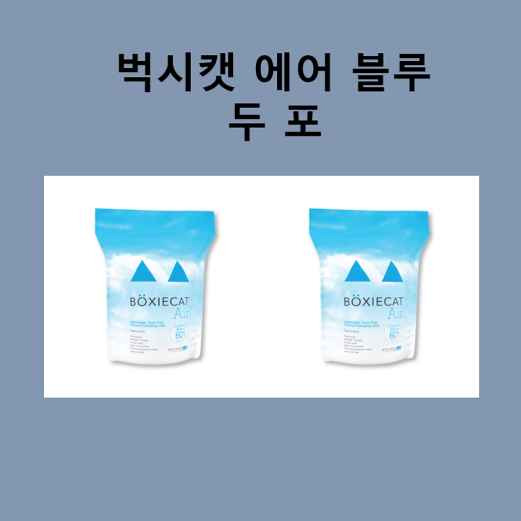벅시캣에어 블루(무향)2.95kgx2포/사막화방지모래 - 쇼핑뉴스