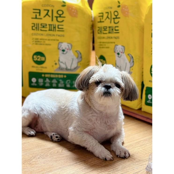 코지온 레몬패드 절약형 애견패드52매 x 4팩  208매