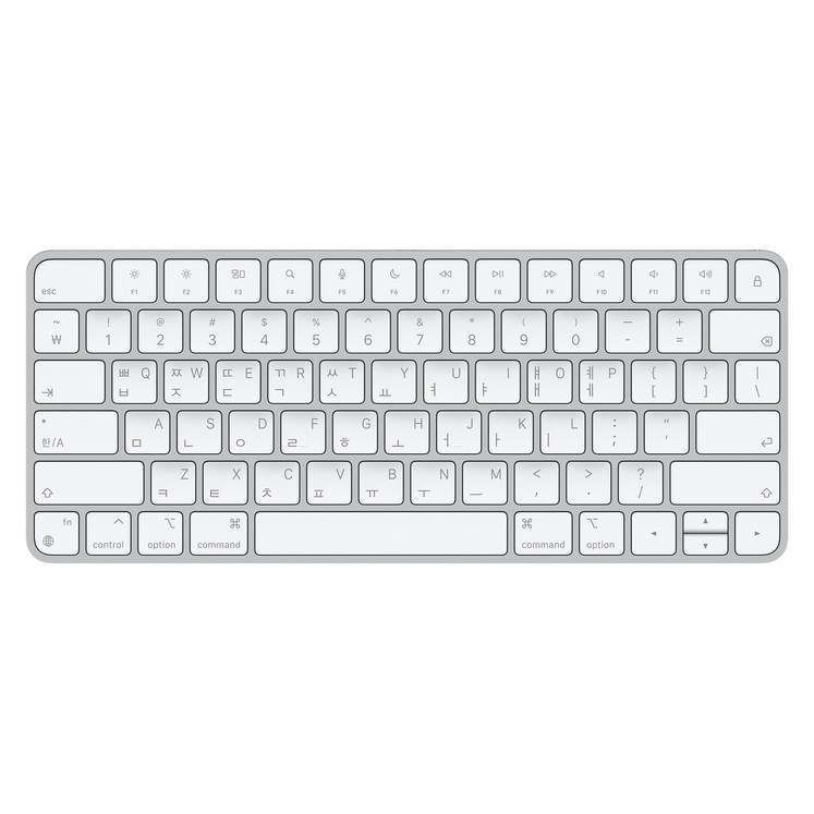 Apple 정품 매직 키보드 Apple 정품 매직 키보드