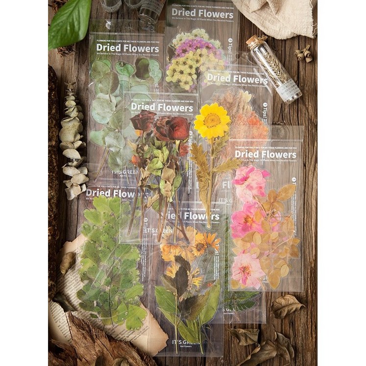 빈티지 꽃 다꾸스티커 vol 62 대형 세트 나뭇잎 식물 다이어리꾸미기 인스